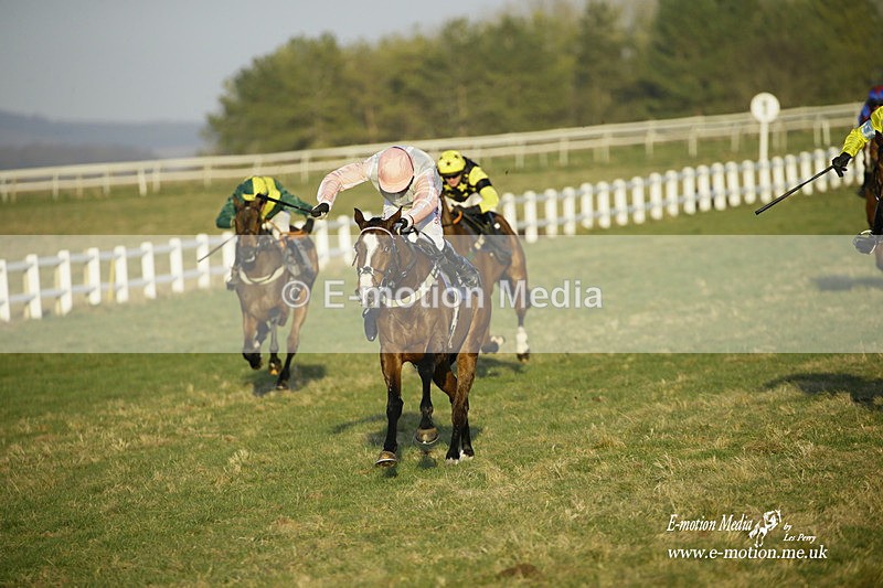 PtP 270222 697 - South & West Wilts Point-to-Point Larkhill 27/02/22