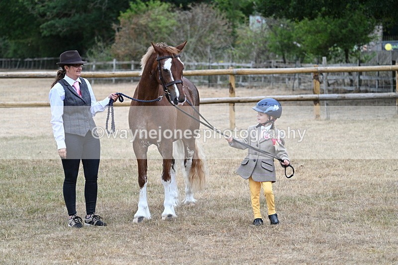 WJ7_8178 - Class 4 Prettiest Mare up to 14.2hh