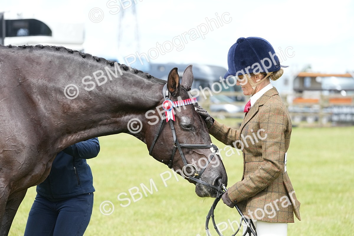 SBM_12943 - Class 99 - RIHS SEIB Working Show Horse