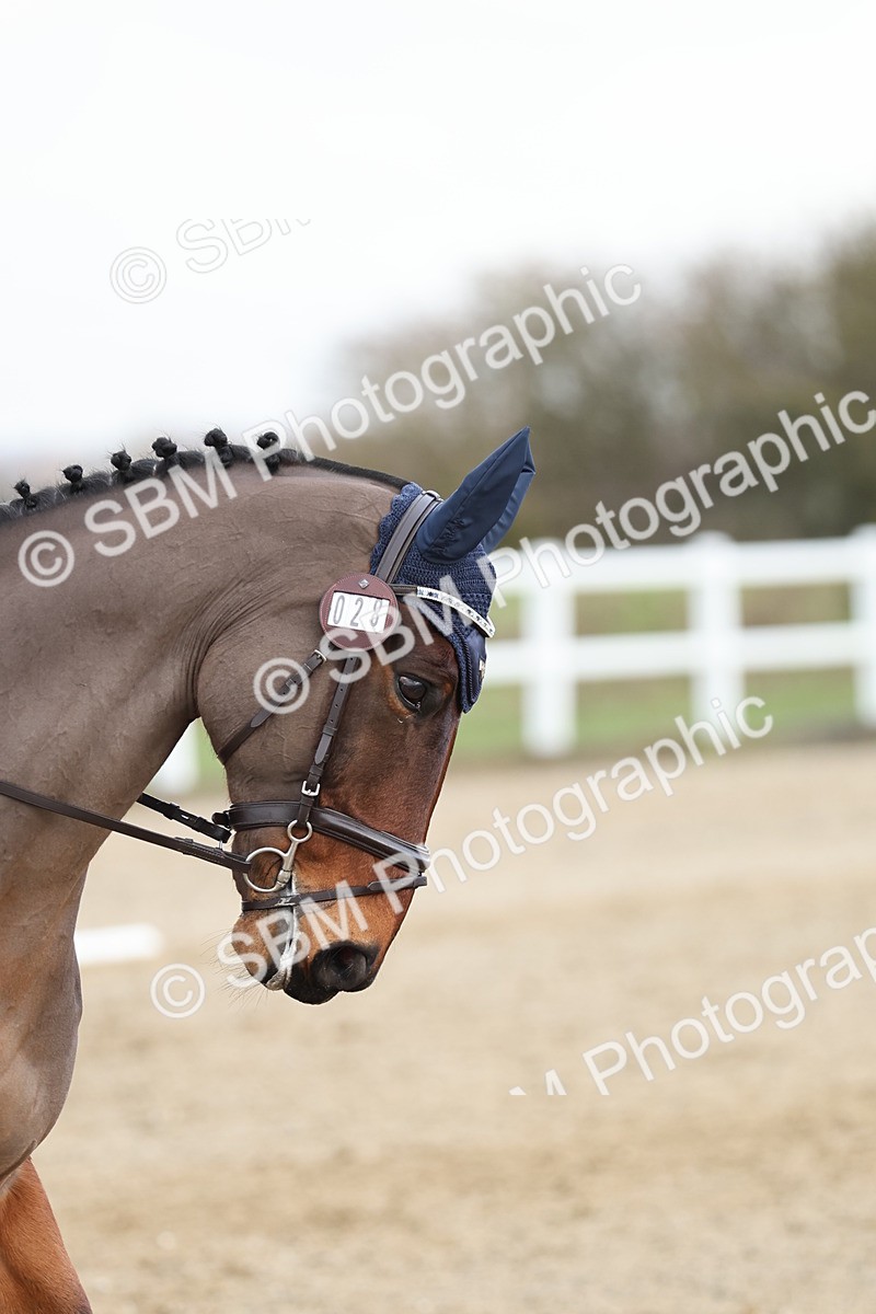 SBM_001925 - Prelim 1