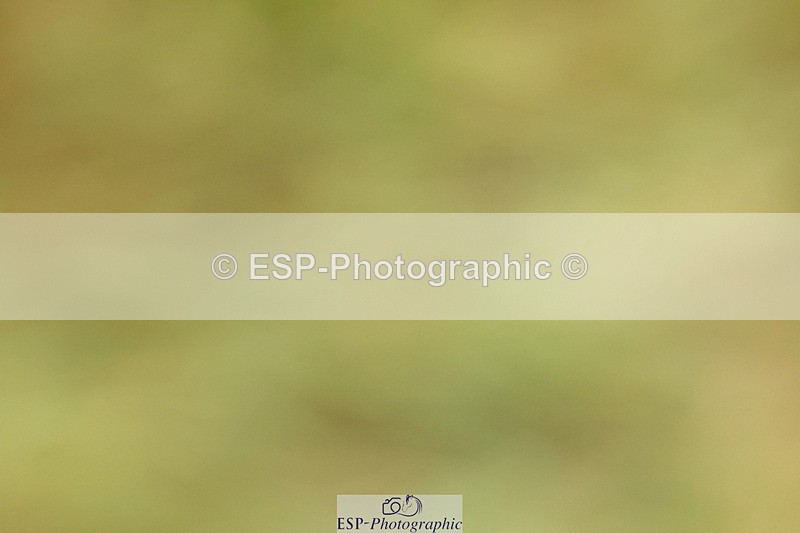 240824X-084212-21850 - D70 Section C and D 8.30 to 9.30