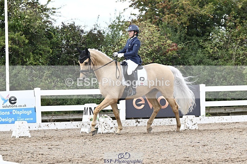 250907-131708-09900 - 025-Carrie.EveGekkos.Gold