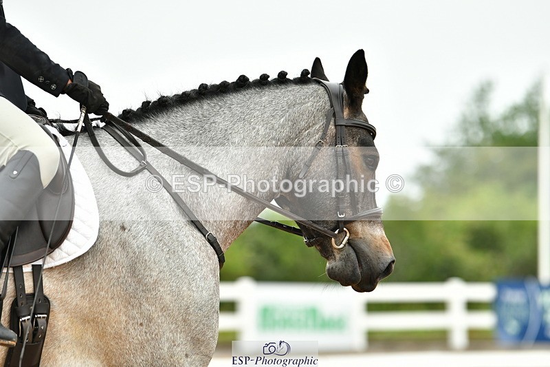 230708A-105925-02462 - Prelim 13