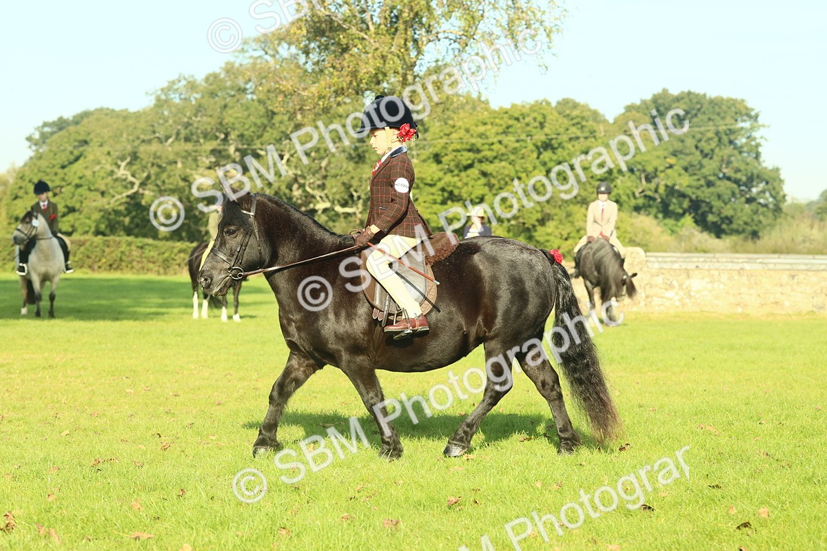 SBM_59199 - S38 - Starters Ridden Showing