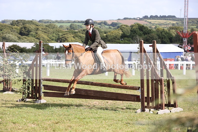 JPP_2739 - Class 20: Working Hunter 70cm