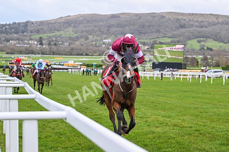 240126-Race 4-Favori De Champdou-6899 - Race 4