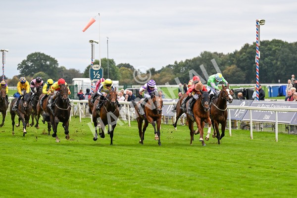 101025-Race 2-Astrazar-0119 - Race 2 British EBF £100,000 Final at York