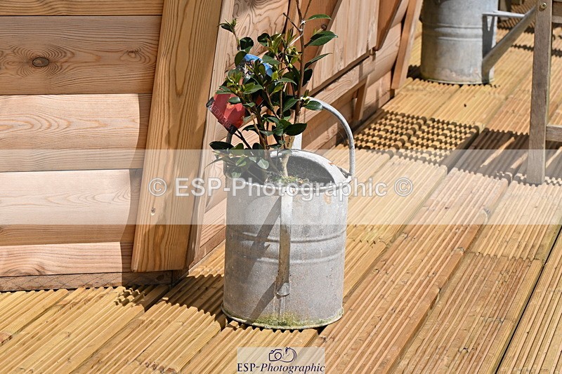 240608A-140426-02705 - Cls 4 Snr Newcomers and 1.10m Open