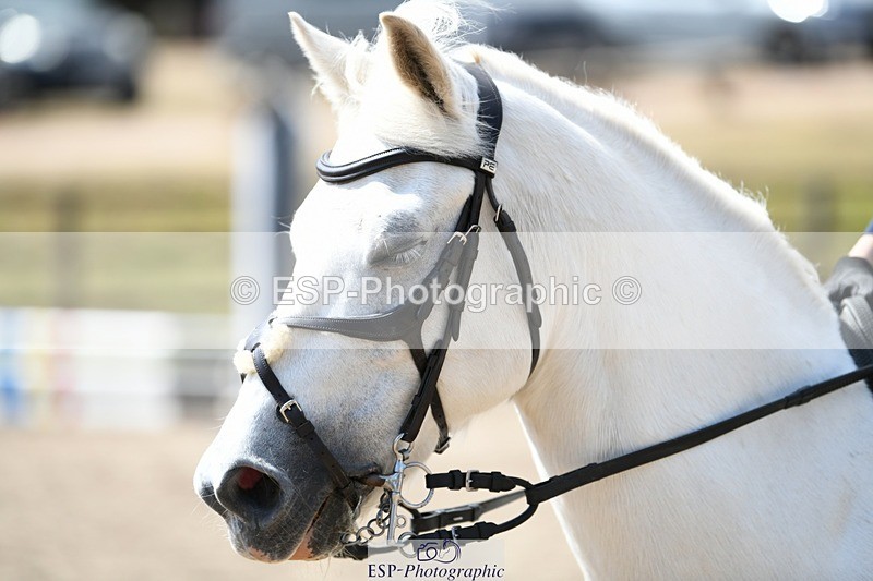 250822A-123000-21697 - NAF Round 1 11.30 to 12.50