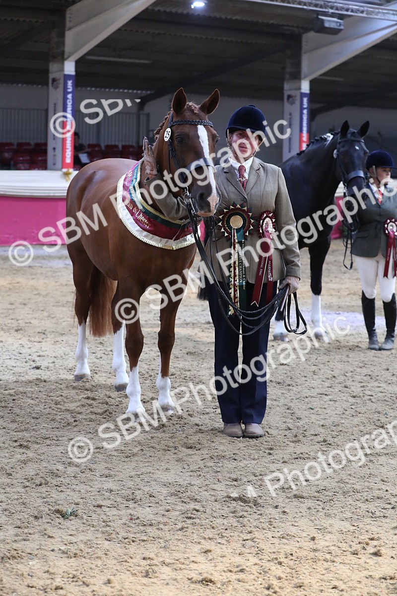 SBM_06575 - Regional IH Champ