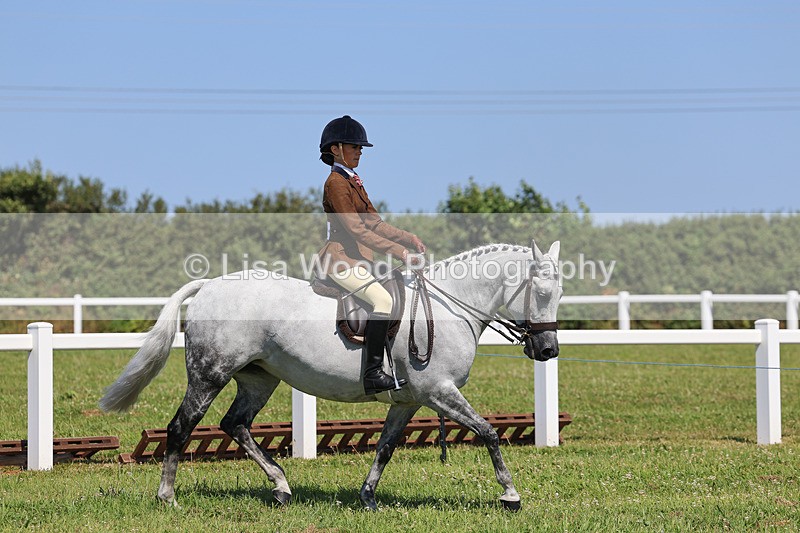 IMG_2166 - Class 36: Part Bred Ridden M & M