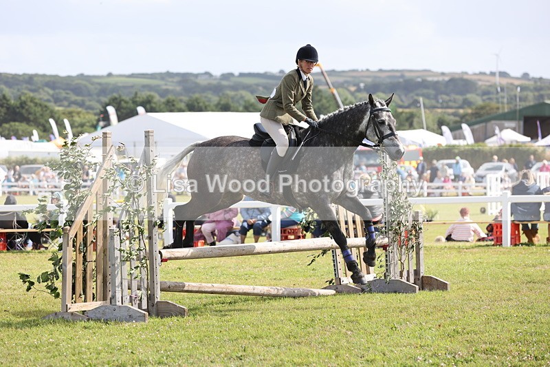 JPP_2599 - Class 20: Working Hunter 70cm