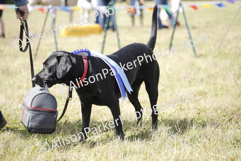 20250831-3739 - Dog Show