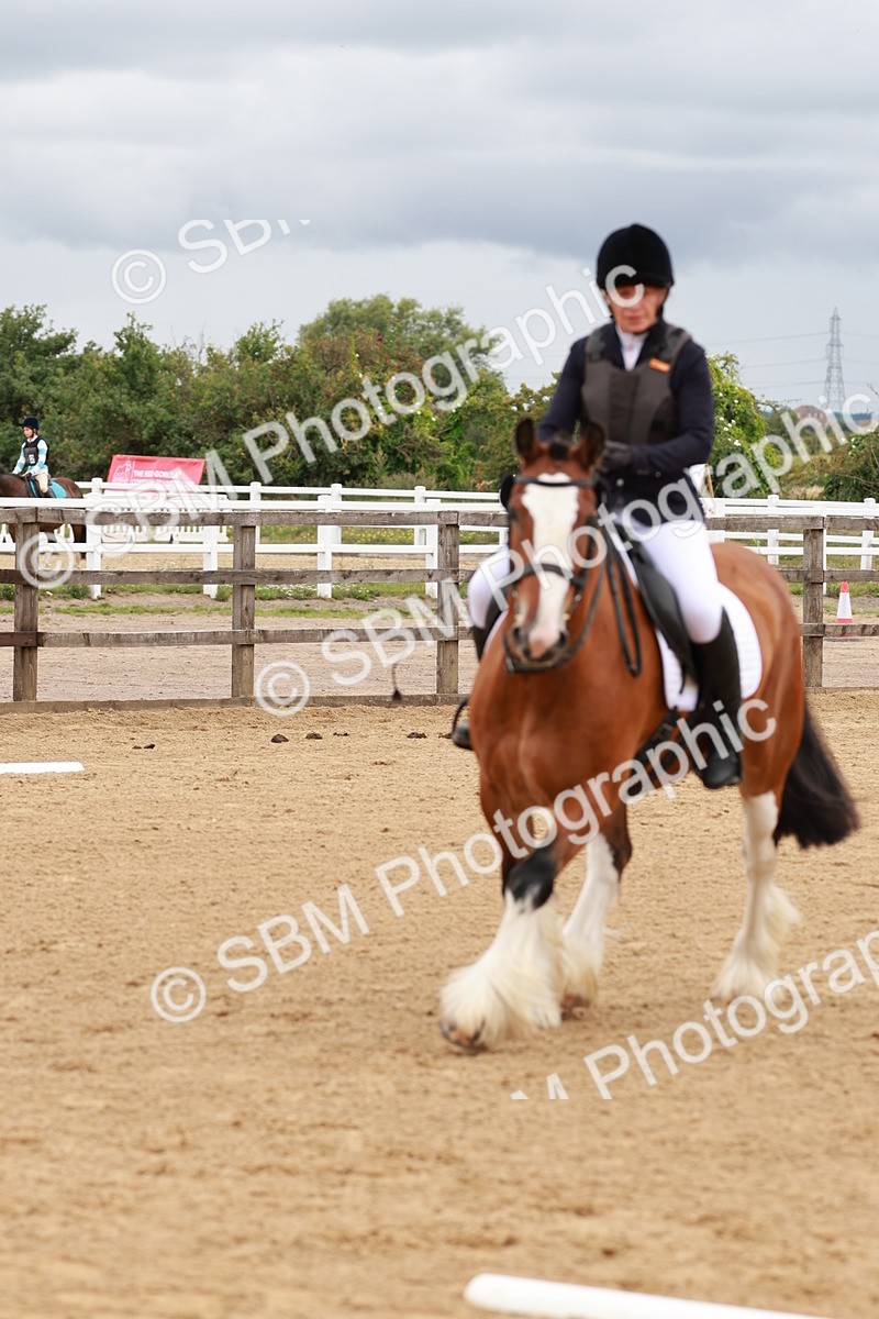 SBM_002209 - Prelim 1