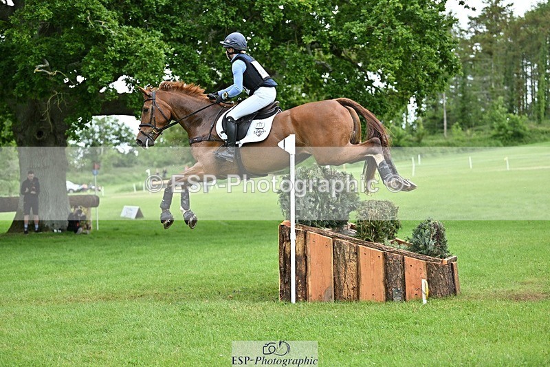 240525-162151-17584 - 233-SILVESTERS_FINESSE-Rosalind_Canter