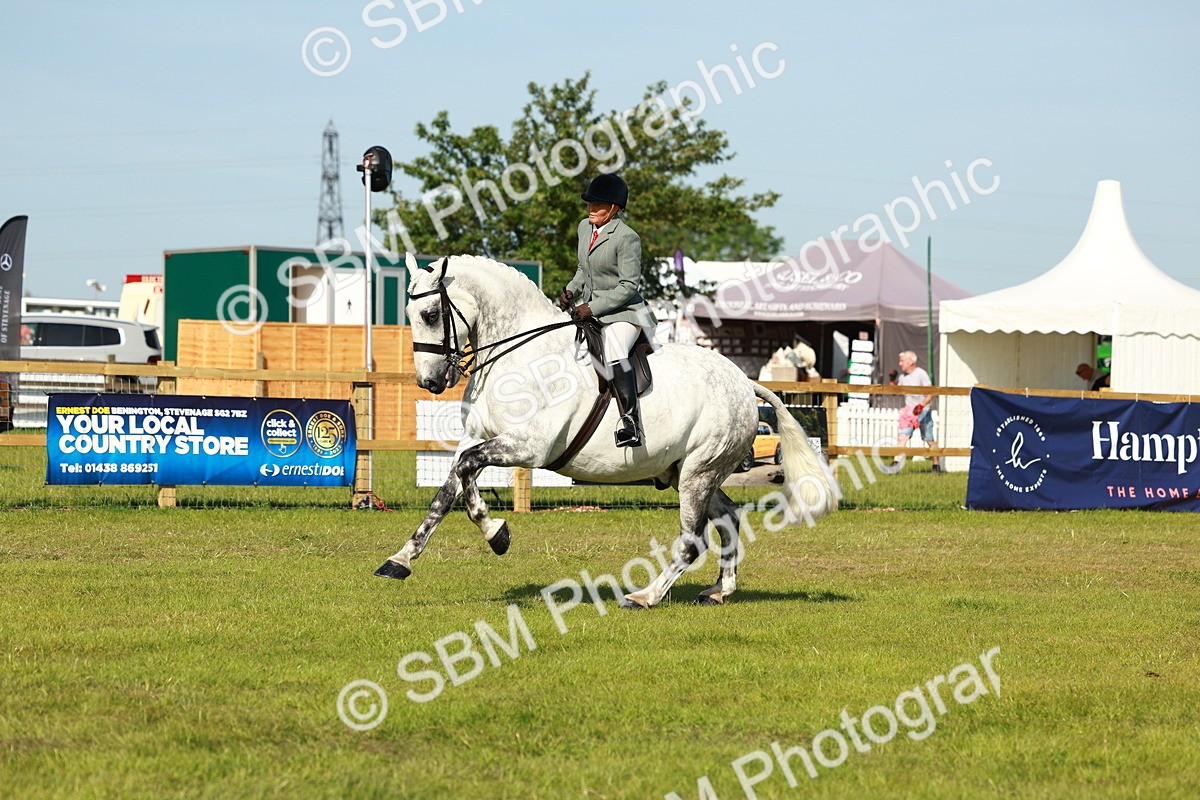 SBM_11788 - Class 66-69 - RIHS Ridden Hunters Inc Small Hunter
