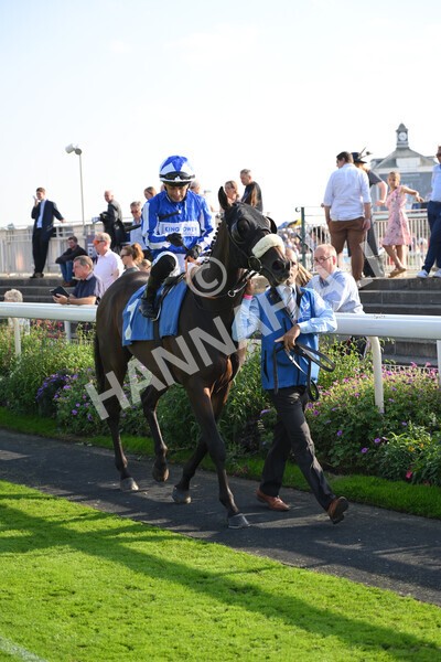 yr05092021r6-1 - Race 6 4.50pm Hanson Spring Stakes