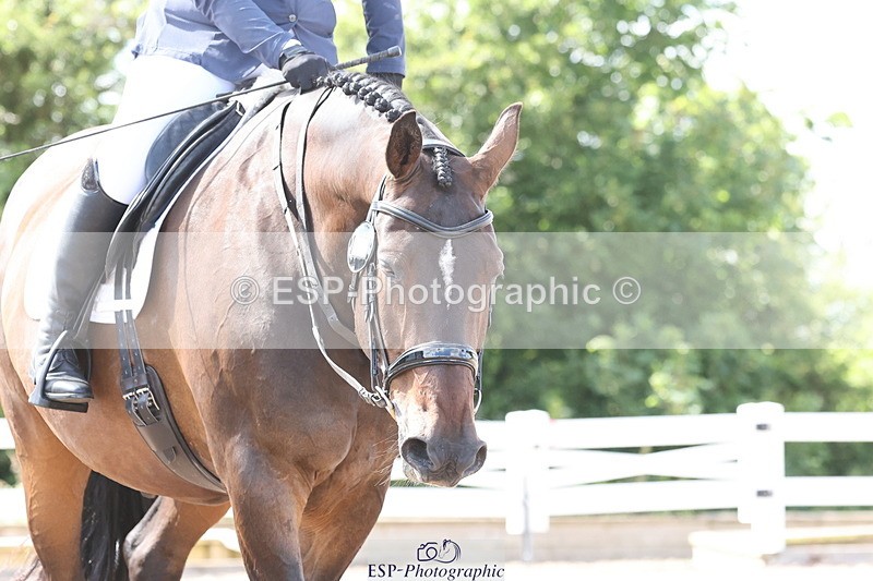 240706A-163326-04424 - Cls 9 RT Novice 27