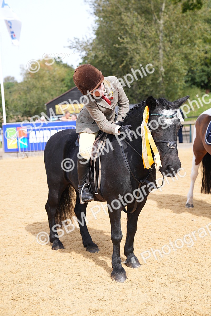 SBM_65870 - J2 - Mini Tour Junior Pony 30cm Championship