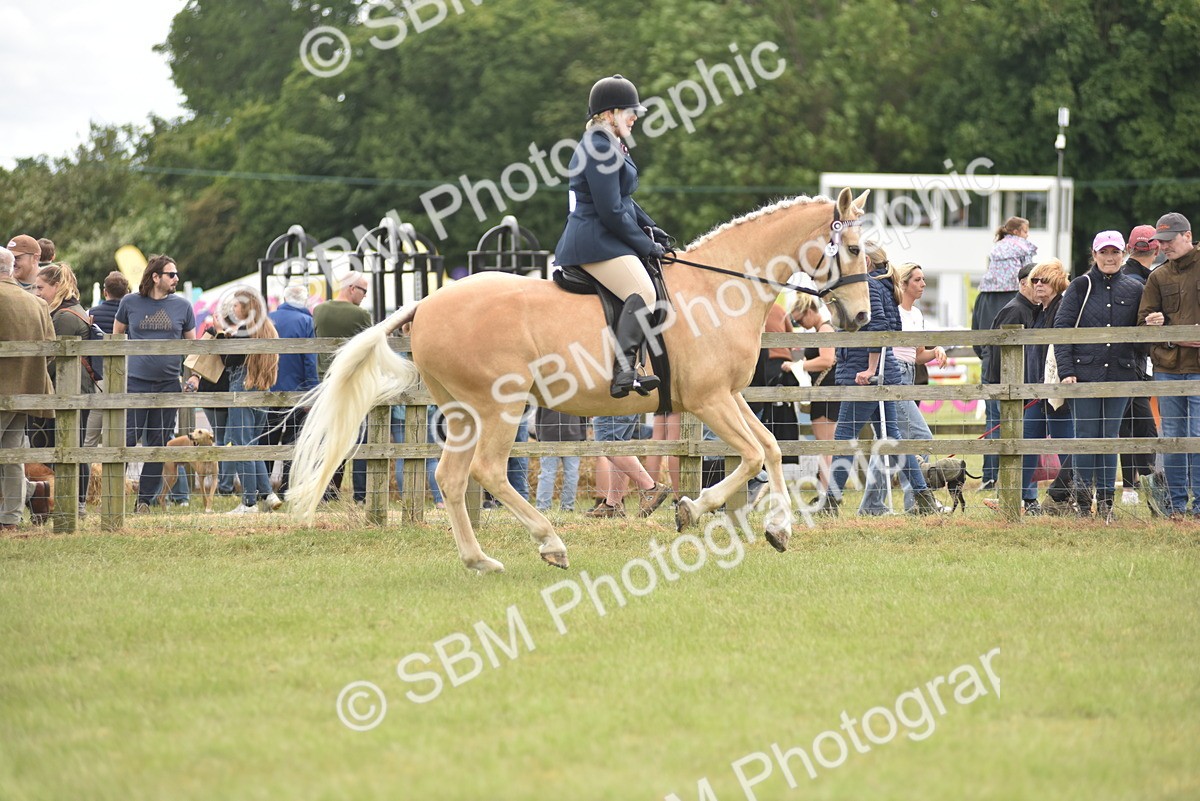 SBM_15930 - Class 117-122 - SSADL RIHS Qualifier