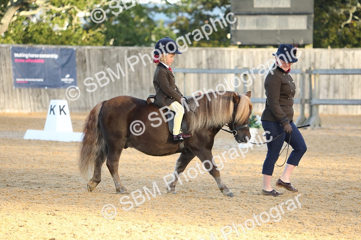 SBM_33536 - D26 - Starers - Lead Rein