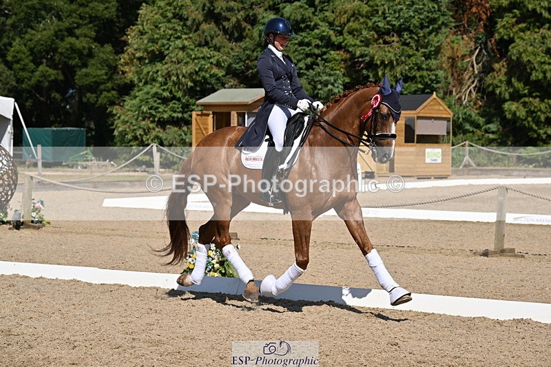 250810A-152904-08050 - Intermediate I GOLD Presentations