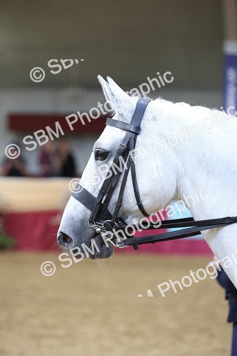 SBM_23575 - Class 904 - Supreme Final - Ridden Diamond