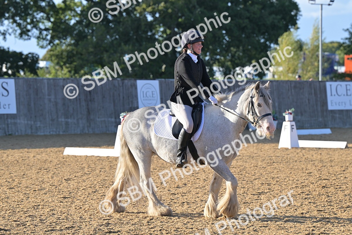 SBM_13133 - D3 - Small Tour Championship Intro 3