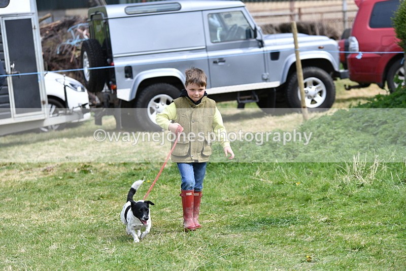 WJ5_0480 - Class 7 Best Terrier