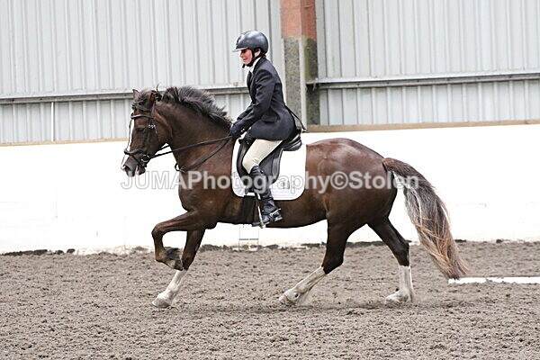 SIAL5048 - CAbin Dressage 5th july 2025