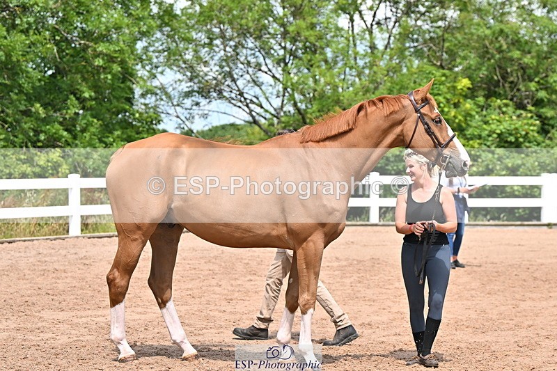 240718A-105251-01235 - Trot Up 12pm to 1pm