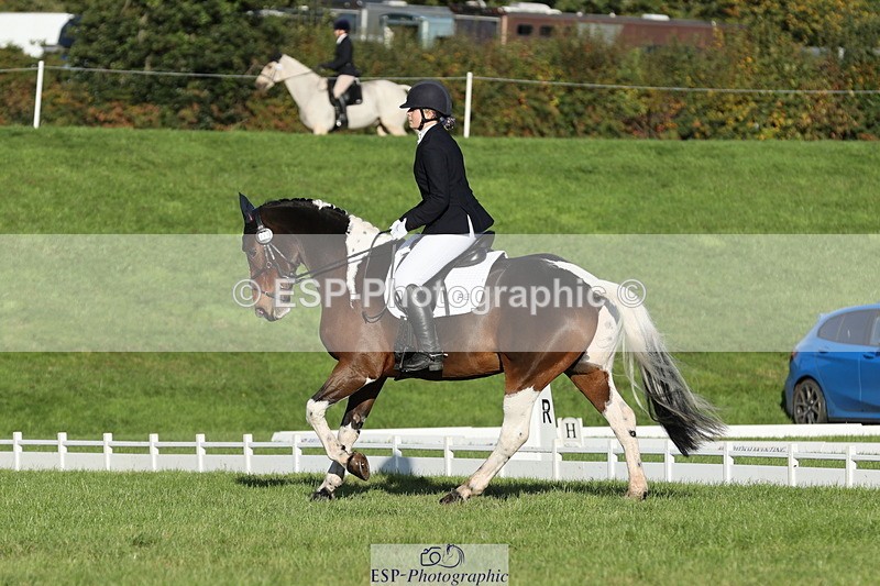 251024A-100500-07652 - D-341-Charlotte.Northcott