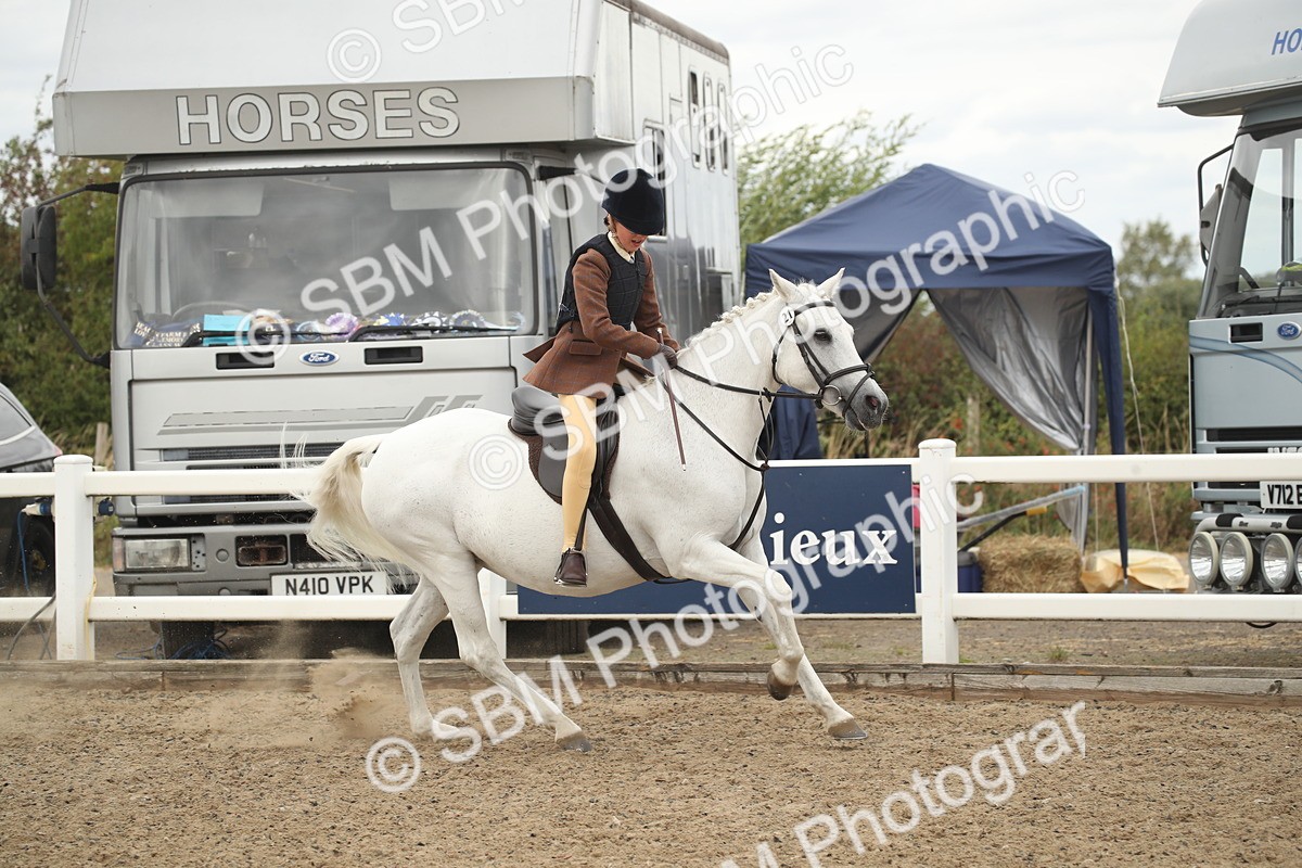 SBM_16849 - Class 507b - Working Veteran 60cm (20+)