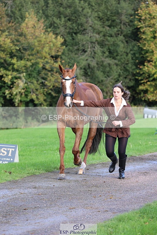 251026A-100002-22650 - D-368-Emma.Pine