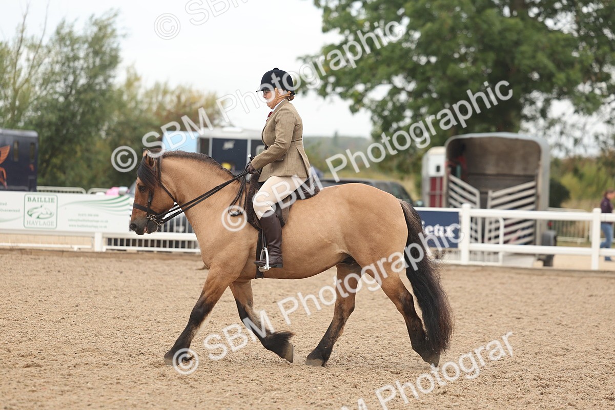 SBM_01919 - Class 14 - Ridden M&M Wildcard