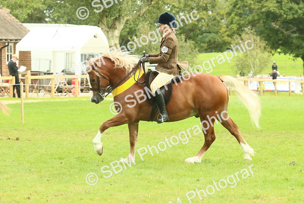 SBM_75040 - Ridden Pony Supreme Championship