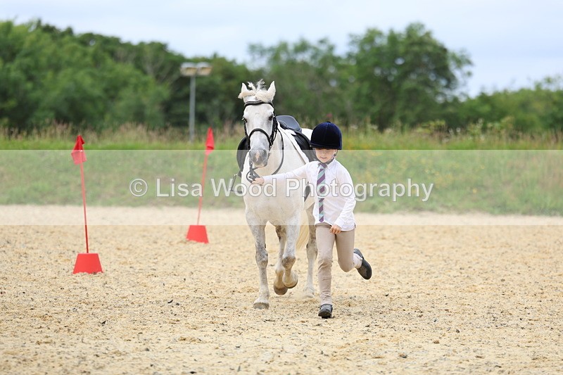 3E7A9411 - Walk trot run