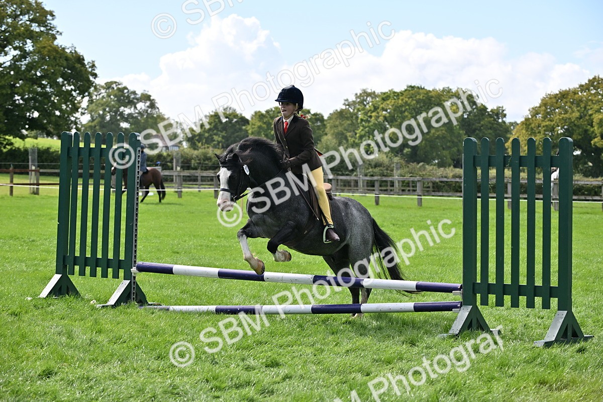 SBM_44519 - S13 - Pony Club Pony