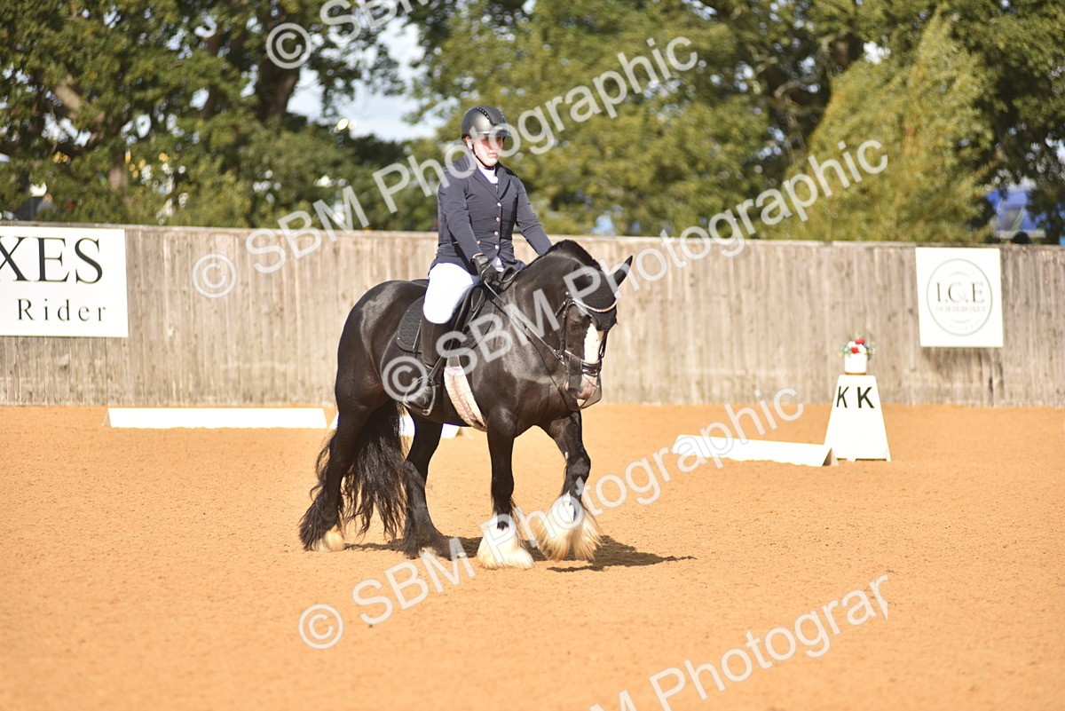 SBM_03020 - D4 - Small Tour Championship Intro 4
