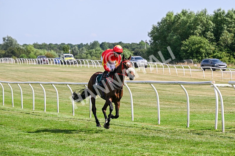 080726-Race 5-Sugarpiehoneybunch-7565 - Race 5 16.00pm Bet At racingtv.com Handicap