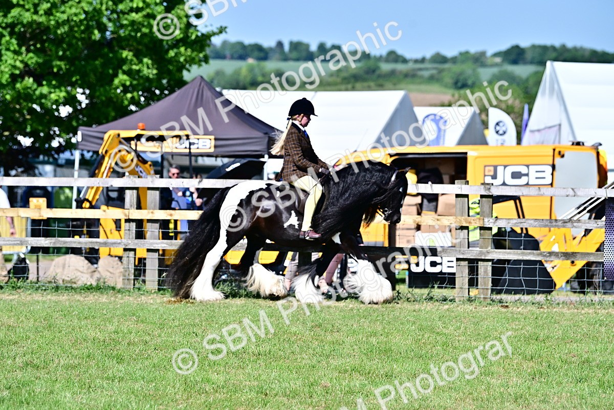 SBM_19354 - Class 101-102 - BSPS LIHS Performance Coloured Horse/Pony