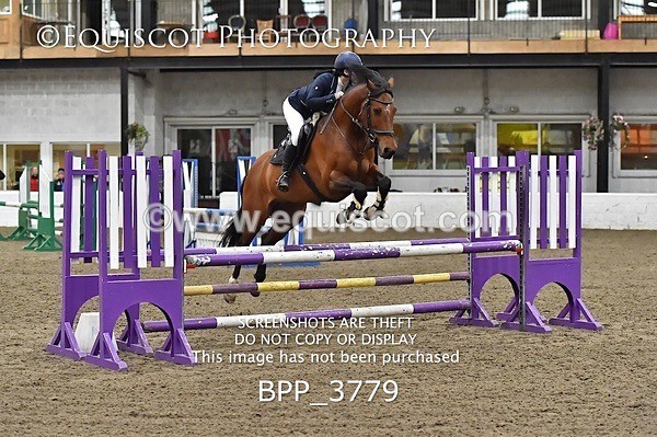 BPP_3779 - FRI CLASS 21 BR NOVICE/90CM