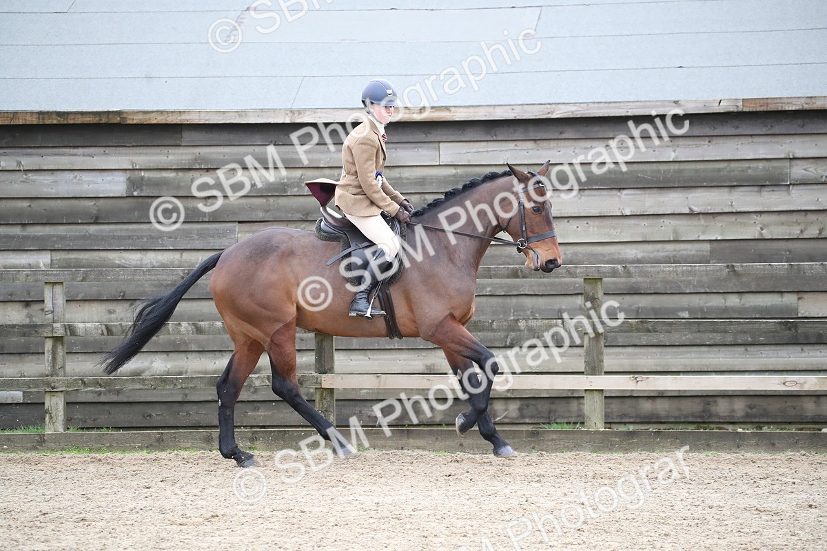 SBM_004782 - Class 5-9 - NPS In Hand-Show Hunter-Intermediate Ridden Inc Ridden Championship