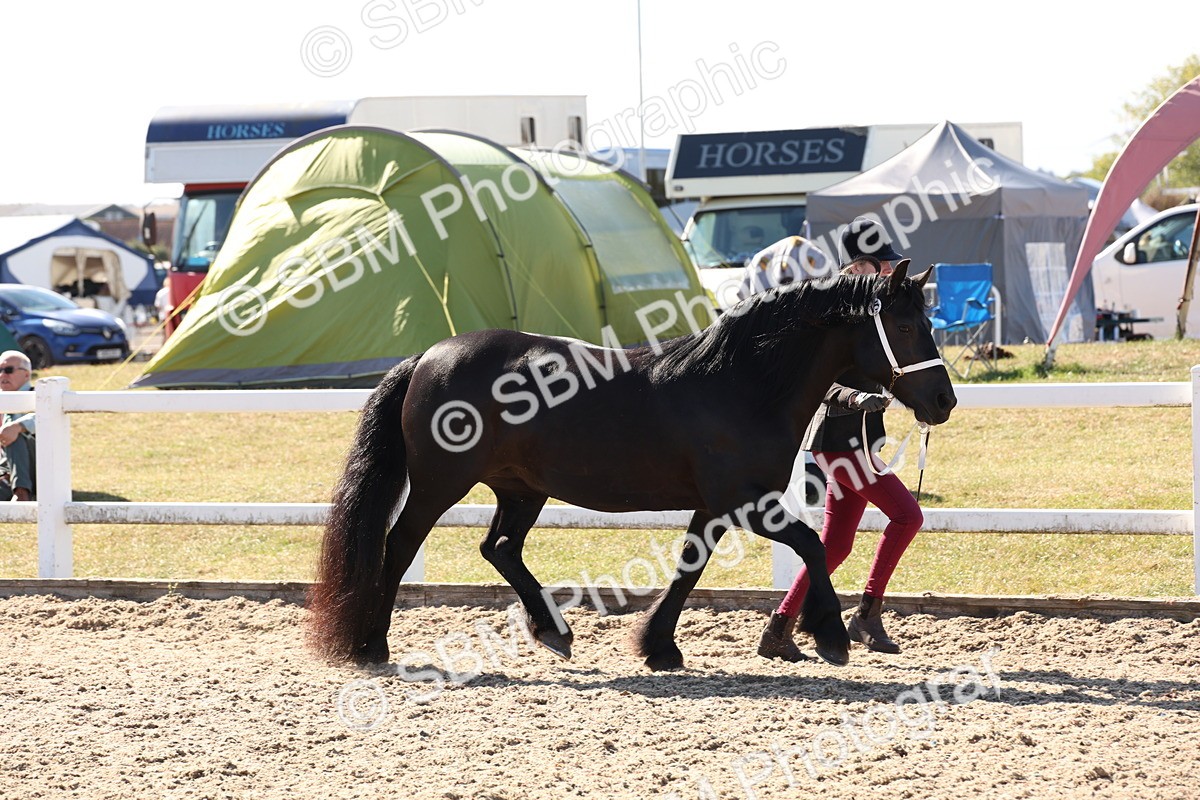 SBM_14064 - Class 207 - IH M&M