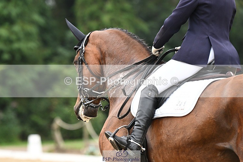 240811-115817-05658 - 241-Kathryn.Little-Quietly.Does.It