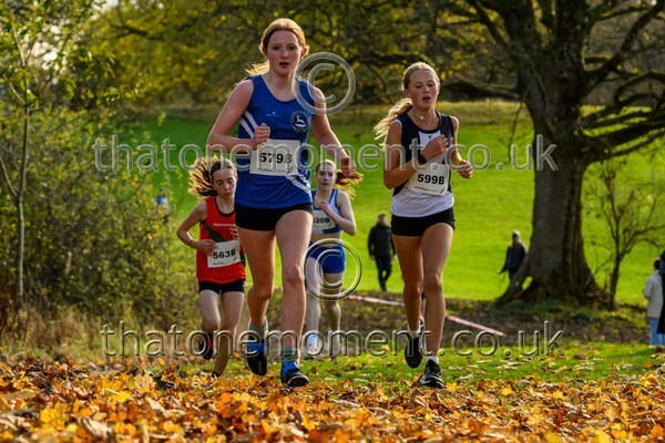 NatRel25-913825 - Young Female Set Two