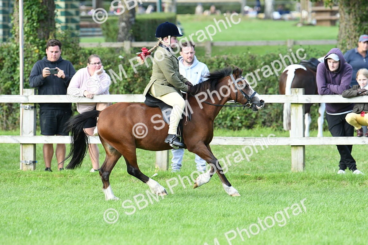 SBM_51879 - S21 - Novice & Newcomers 1st Ridden Pony