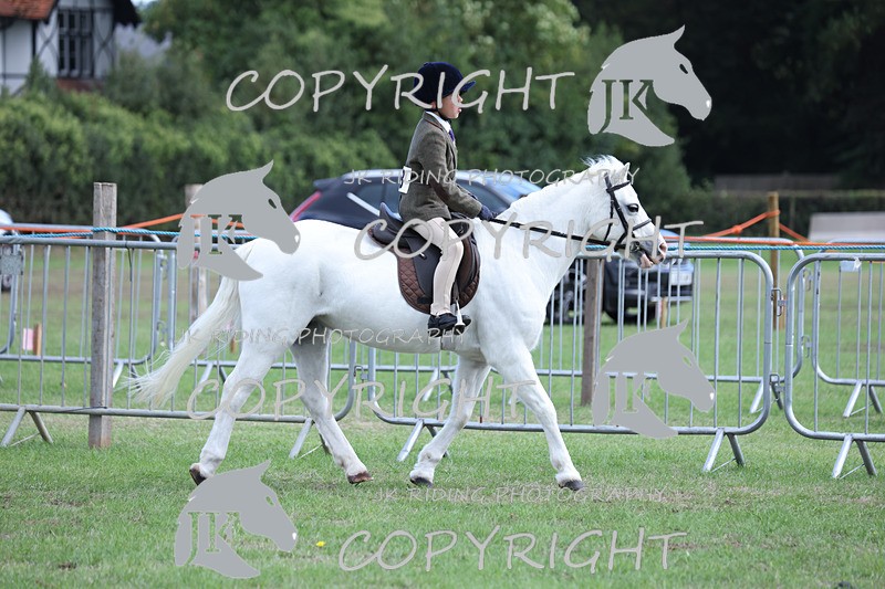 APP_4124 - Class 15a/b Pony club pony/Riding club horse