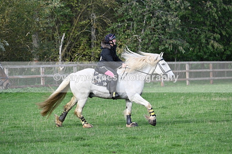 WJ7_7674 - Time 10:30 to 11:38