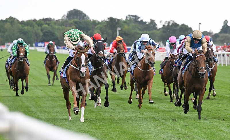 220826-139 Daiquiri Bay - Race 4 15.35pm Sky Bet Ebor Handicap